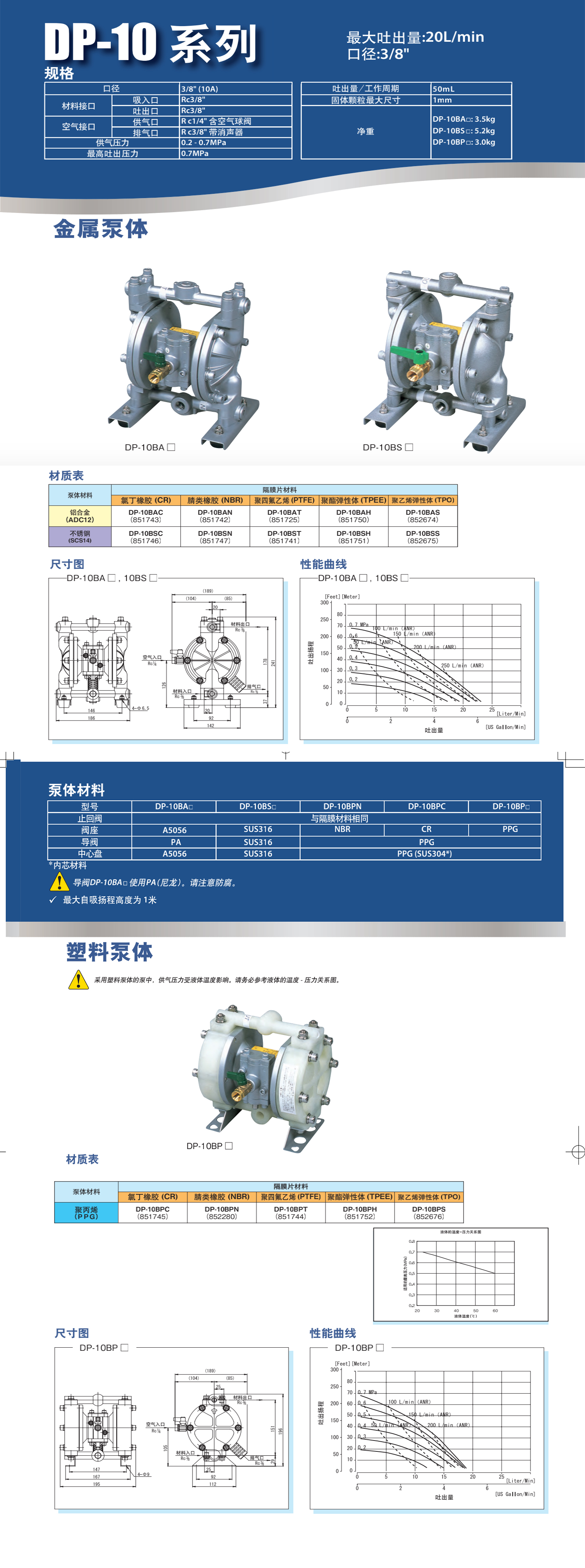 DP-10.jpg